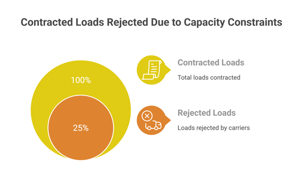 Risk Mitigation and Backup Plans